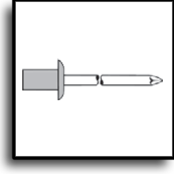   GESIPA CAP  <br /> -   <br />   